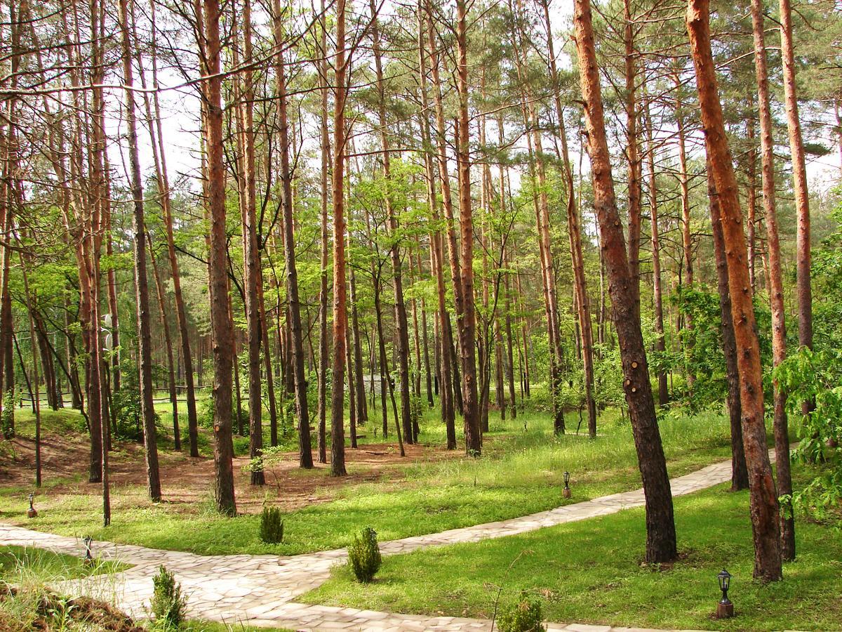 Перший Кордон, Туристический комлекс Медведевка Экстерьер фото